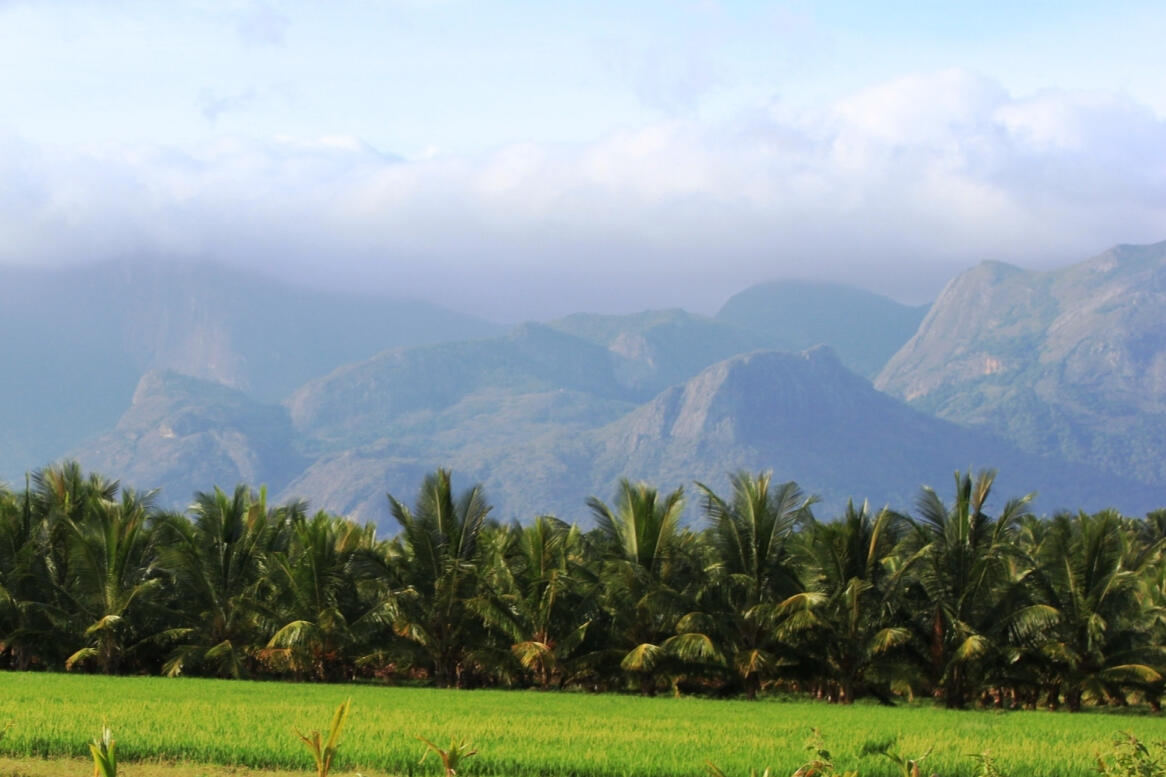 wab retreat farmstay